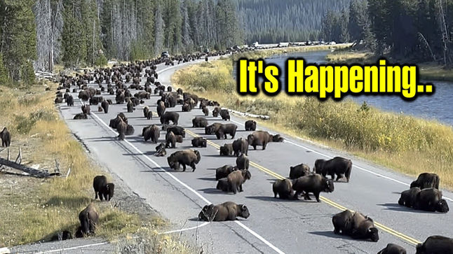 Park Rangers Won't Talk About What's Happening Beneath Yellowstone National Park..